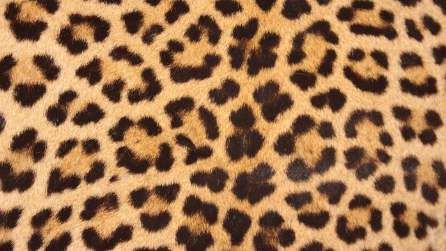 panterprint jas